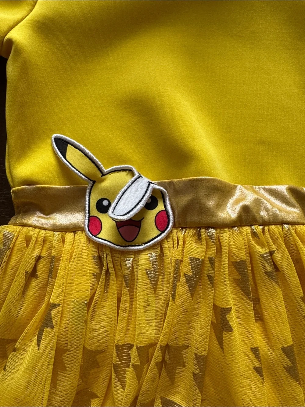 Pokemon from pet